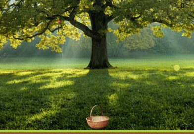 GDevelop – Elma Toplama Oyunu Dosyaları