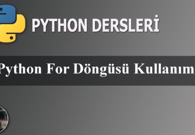 Python For Döngüsü Kullanımı