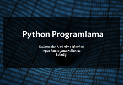 Python Programlamada Input Fonksiyonu ile Kullanıcıdan Veri Alma Etkinliği / Soruları