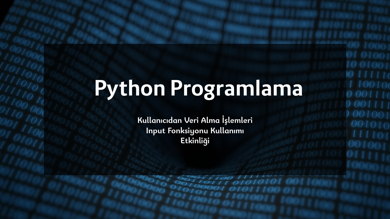 Python Programlamada Input Fonksiyonu ile Kullanıcıdan Veri Alma Etkinliği / Soruları